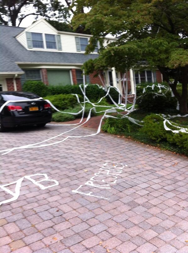 grace_bianco's tweet image. 😳😂 #HFVB