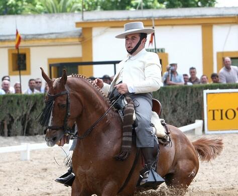 Como arrean, como paran, como doblan, como templan, si van "patrás" no reparan y que admiración despiertan.