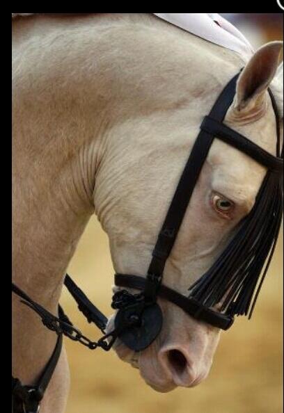 Esto si que es una belleza!!!