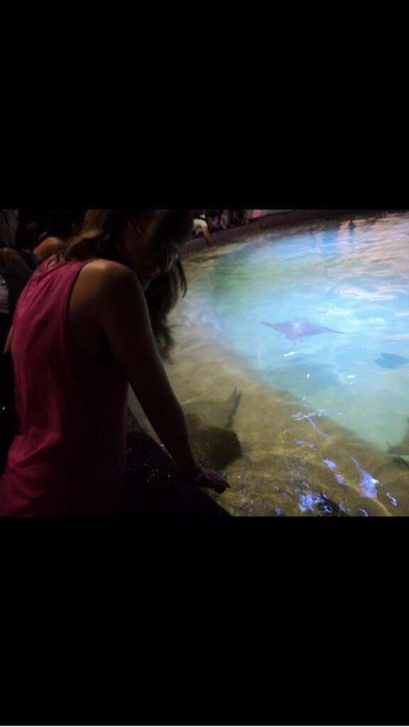 Meghann_88's tweet image. #obsession #stringrays #grambyzoo