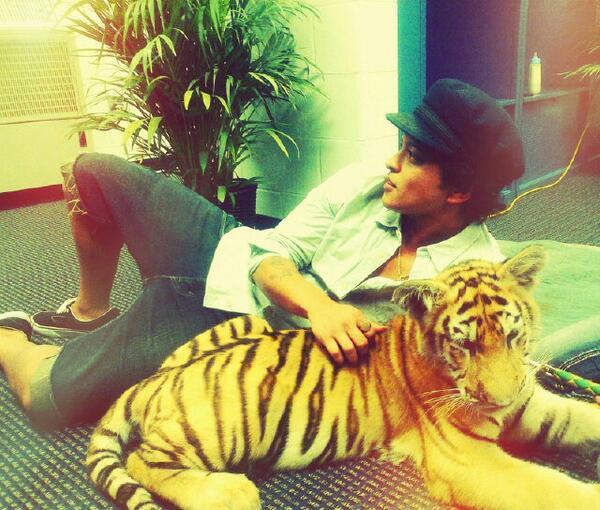 If I were to ever have a cologne line for men it would be called Tiger Musk.