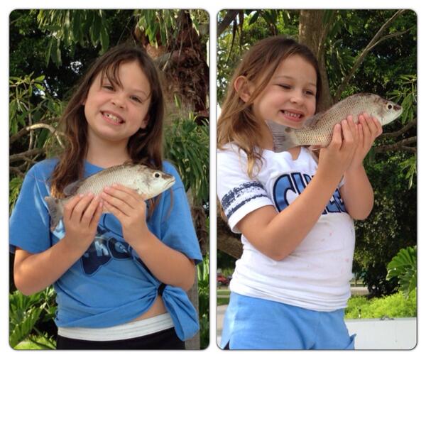 bethassis tweet media