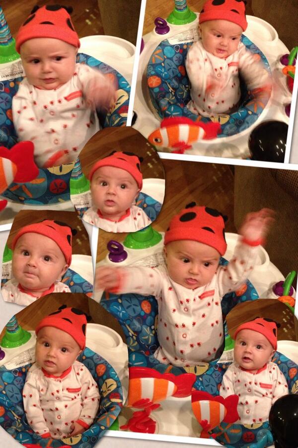 heather treannie tweet media