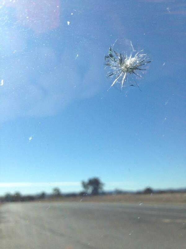 dita_mini's tweet image. Road trip left me scarred! :(