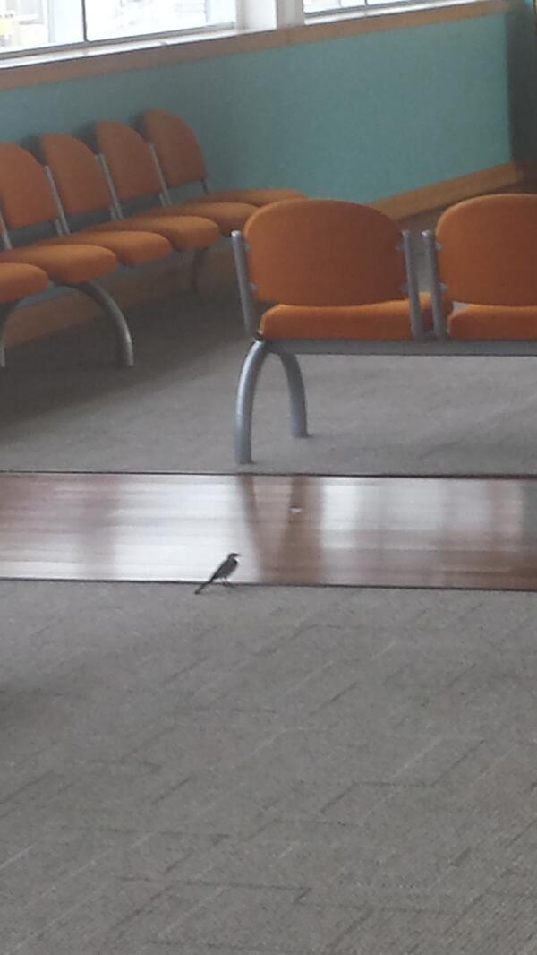 nartist85's tweet photo. Just chilling waiting on a ferry http://t.co/CtTlJQ19kX