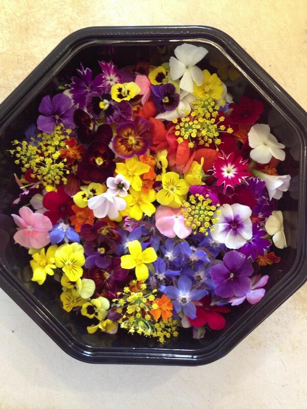 CookstownGreens's tweet image. Micro flower tray! #colour #edibleflowers #beauty #restaurants #toronto