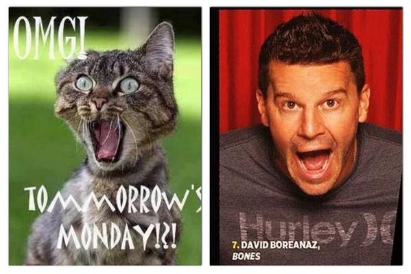 davidboreanazagenteseeleybooth