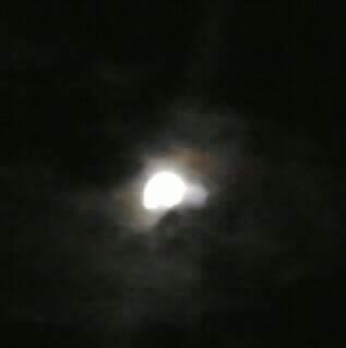 winiews tweet picture