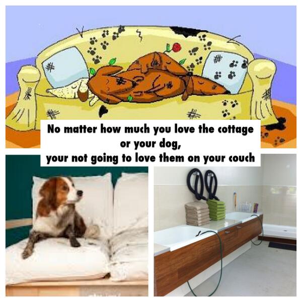 MukiMutt's tweet photo. Come to Müki Mutt &amp; wash the cottage off your dog. http://t.co/TG6vqj5Wpg