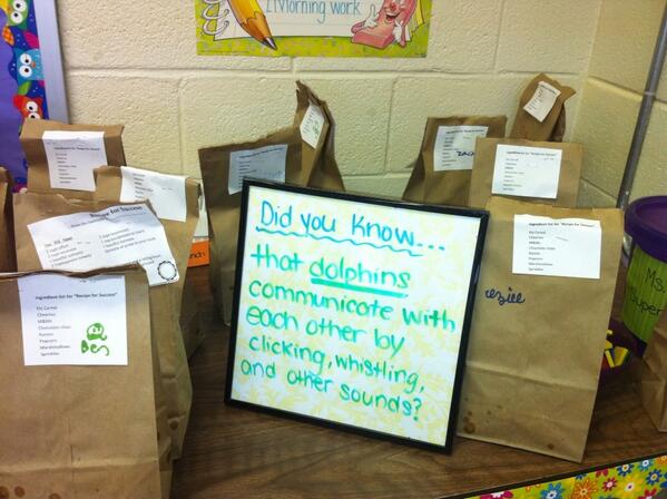 Ashlee Ciccone tweet media