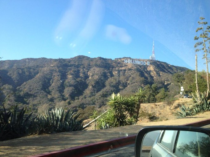 Morning wood. http://t.co/leeQDk1opA<a href="/tag/nightshooting"class="tags"><span>#nightshooting</span></a><a href="/tag/itsnotevenmidnight"class="tags"><span>#itsnotevenmidnight</span></a><a href="/tag/amazonist"class="tags"><span>#amazonist</span></a>