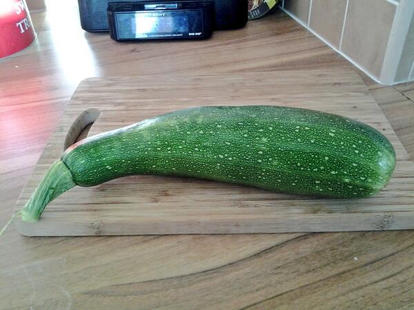askyshell's tweet image. One of my courgetts