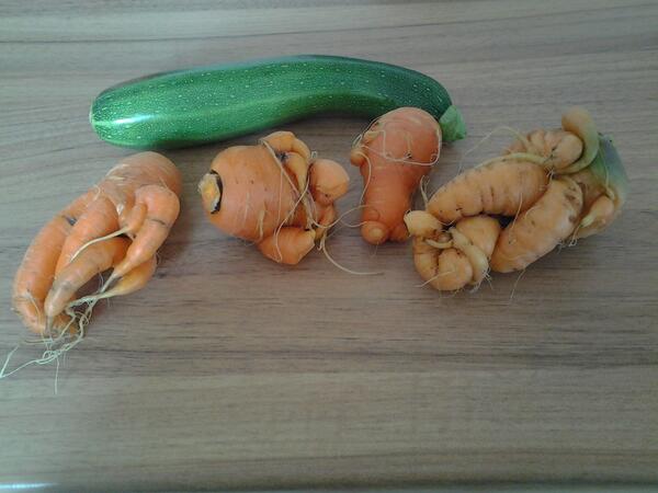 askyshell's tweet image. What went wrong with my carrots