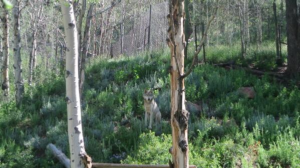 SC Best Intern(s) tweet media