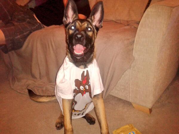 Nicolaparsons83's tweet image. @mandymics why yes actually #dogsinvests