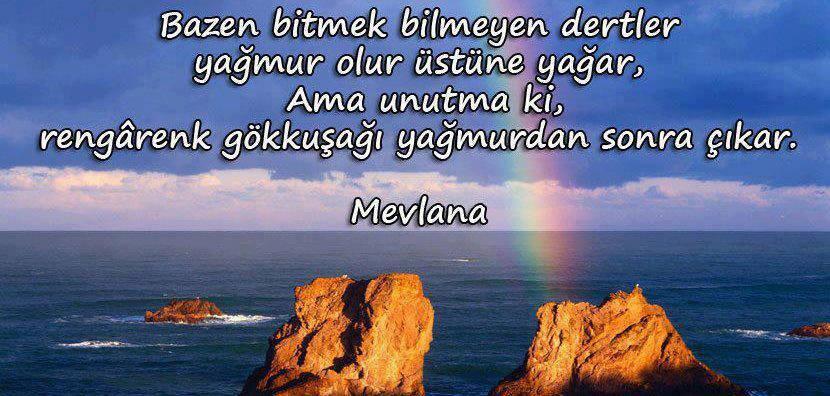 BSEH_pXCcAAdtPo.jpg:large