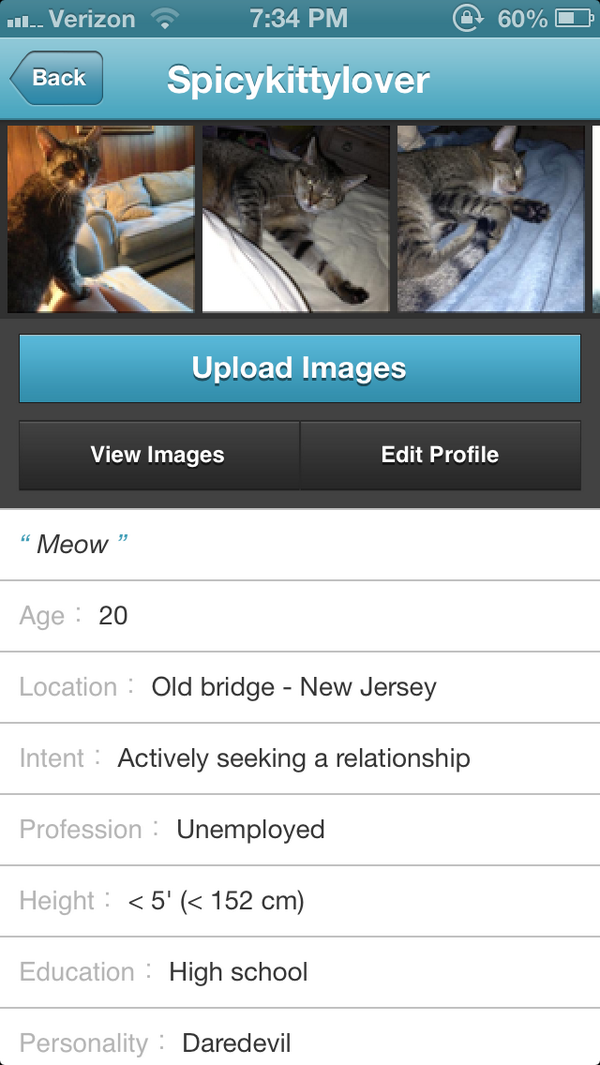 IncendiarySong's tweet image. because of #gishwhes my cat has a profile on plenty of fish