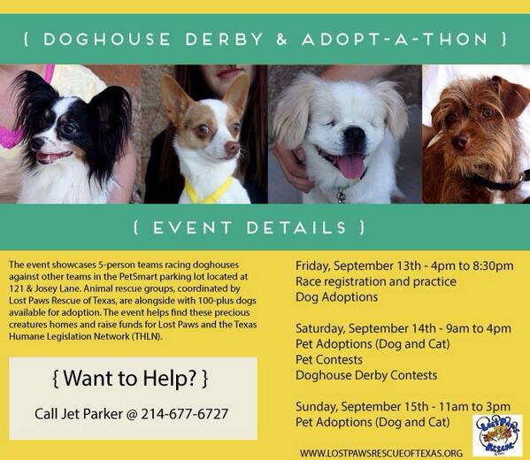 LostpawsresTX's tweet photo. #PetSmart #CharityEvent #Fundraiser #dogs #cats #rescue #lewisville http://t.co/MmThAT4U4G
