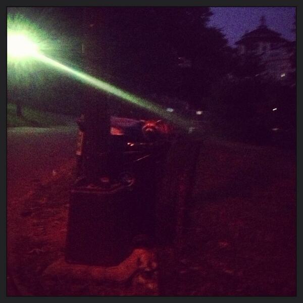 Busted - the wild thug raccoons of Central Park. #thingsyouseeonnightruns