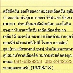 unda_naka's tweet photo. ช่วยดันน่ะค่ะ http://t.co/tWpEH0lWDi