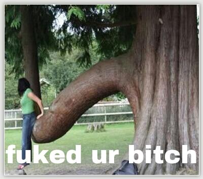 Typical Tree on Twitter: Typical Tree on Twitter: