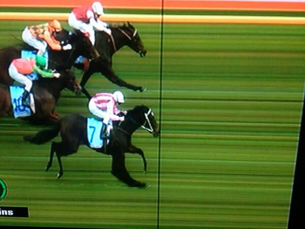 RunsToWin's tweet image. With a leg that strong she should of won by more! #isometriccontractions #bigquaddieleg #RTW