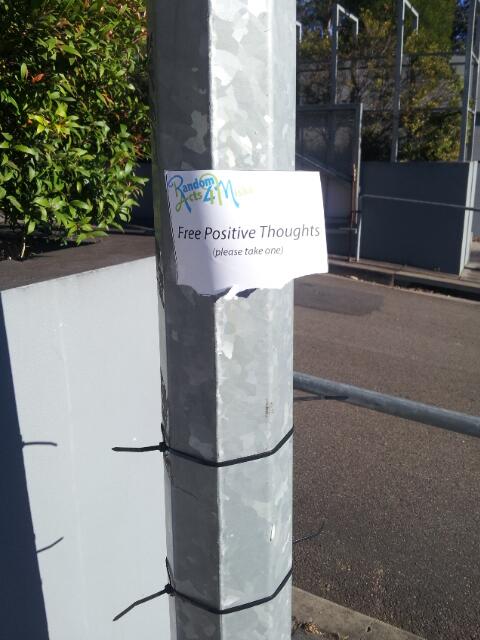 karoruru's tweet image. I put some papers up a few hours ago, and look what happened! I feel very happy. #RandomActapocalypse