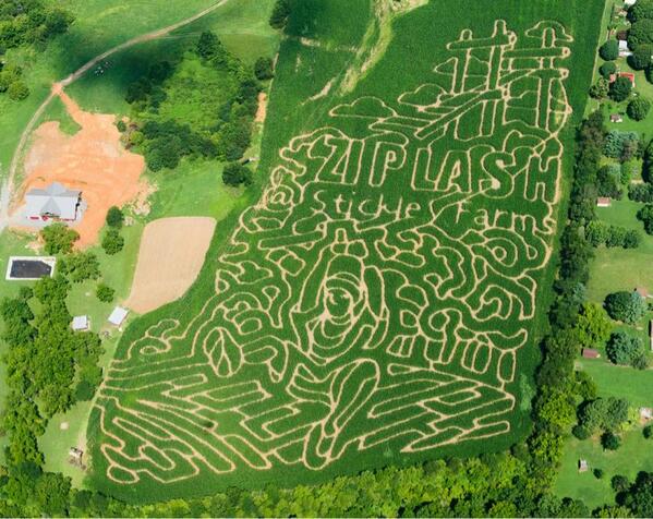 StickleyFarm's tweet image. The maze is cut!