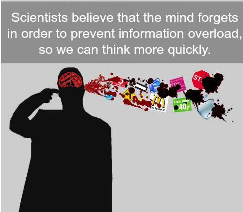 What The F*ck? (@theawkwardfun) on Twitter photo 