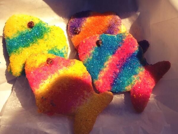 abella1977's tweet image. Here 🐠🐟🐠🐠 @goodrat #shortbreadcookie