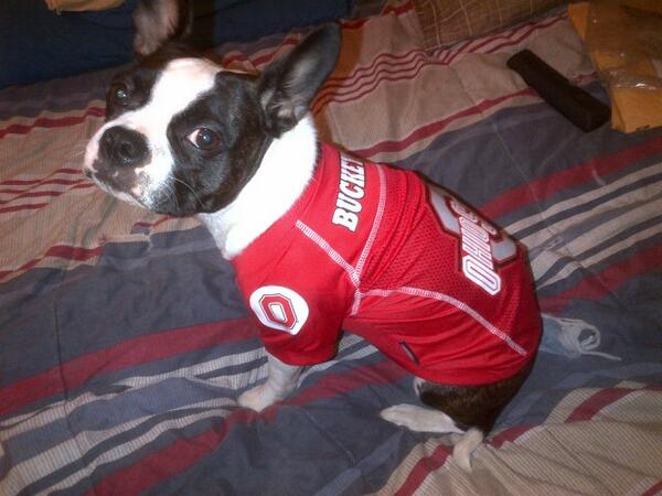 MaRitchierk's tweet photo. Can't wait for Football!!! #GoBucks #OhioStateBuckeyes http://t.co/8LUrgZudgg