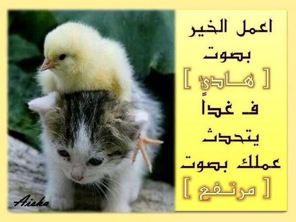 84Saa's tweet photo. http://t.co/JFiK1aYRAk