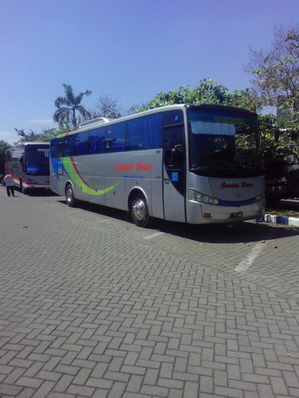 Candra Dewi banyuwangi