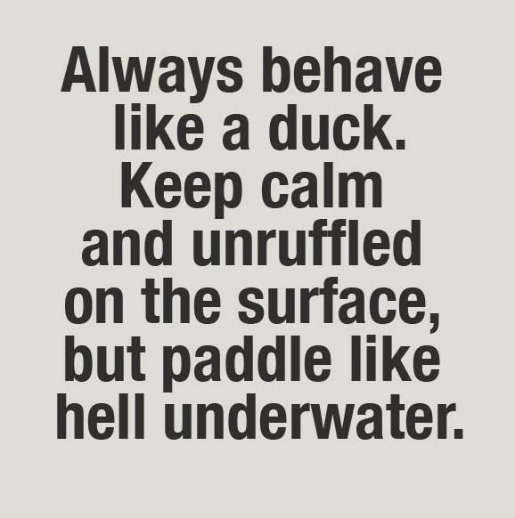 andShirlwaslike's tweet image. I will always be a duck! #Stevens #StevensTech