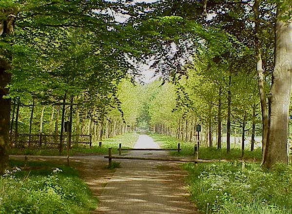Landgoed #Slangenburg op haar mooist! Naast #bezinning &amp; #cultuur genieten van overweldigende #natuur.