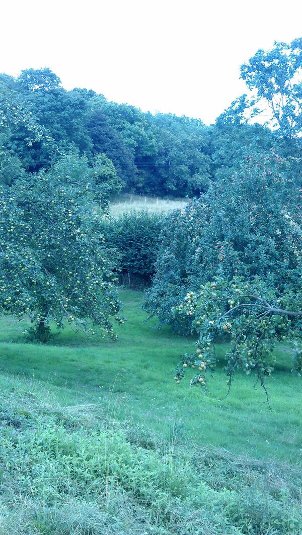 DickWillows's tweet photo. Oh my! http://t.co/HsYg3sjjh2