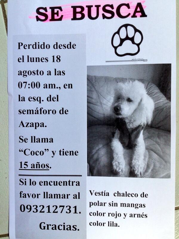 Jagomezopazo's tweet photo. @Perros_Cl http://t.co/H8f36ASMXS