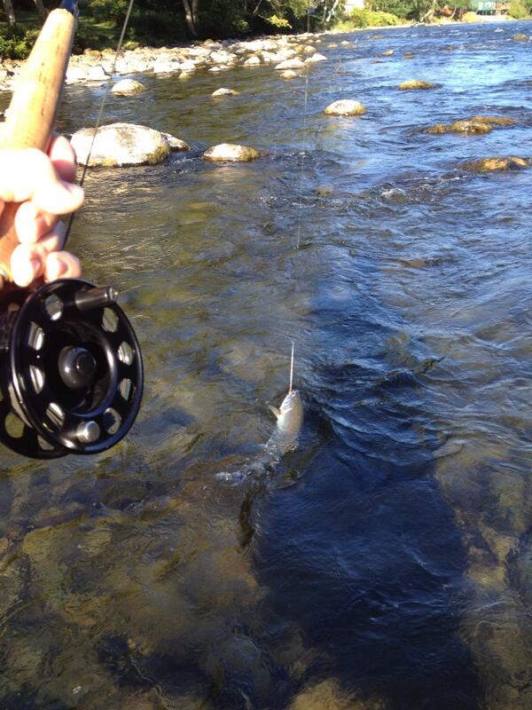 Some people catch their limit before most people get out of bed in the morning...