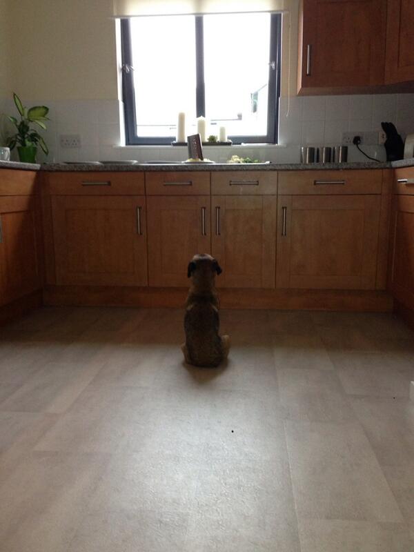 HugoTheBorder's tweet image. Psychokinesis is the psychic ability to move objects through an exercise of the BT's mind. (If only) 😩