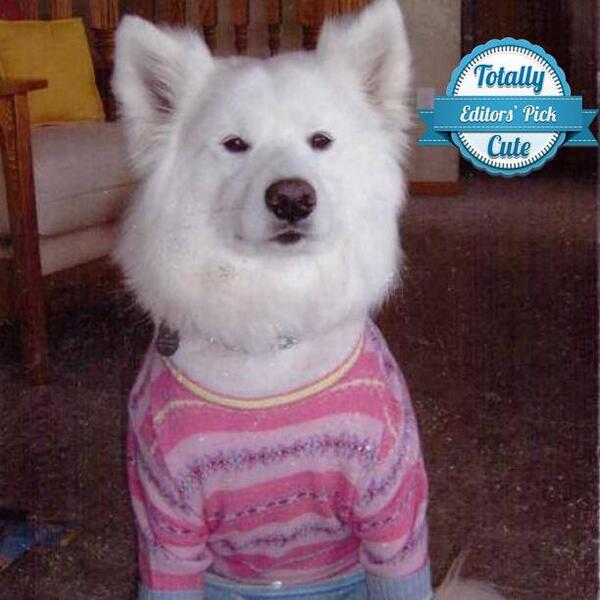 TotallyCuteApp's tweet photo. So trendy! http://t.co/aHychPNPnm