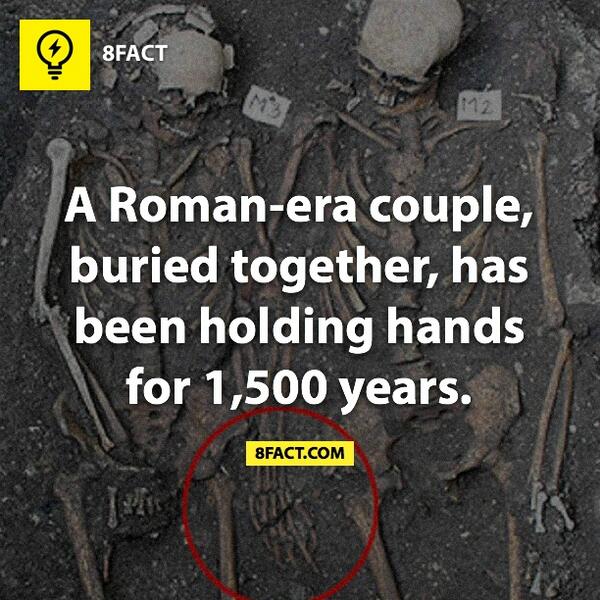 Image result for 8factapp