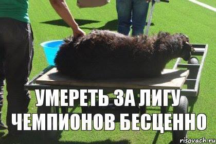 BSKw1bTCIAARPn_.jpg