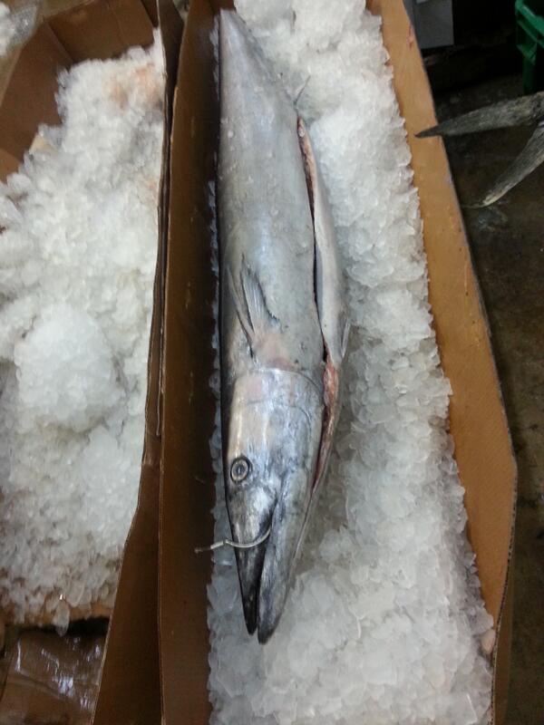 Here is something you don't see everyday.......Whole wahoo anyone?