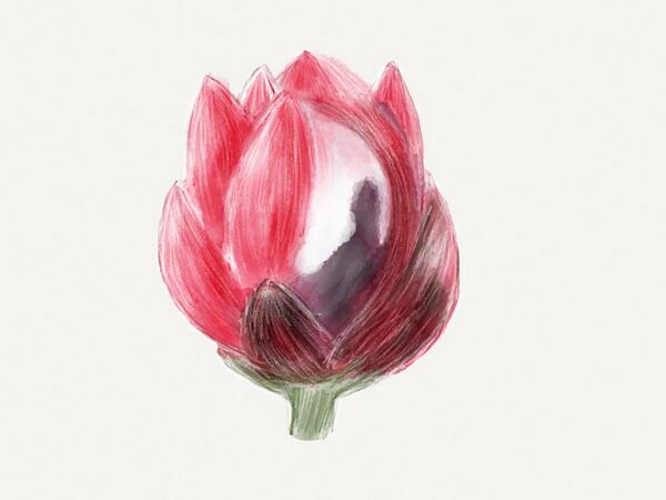 chen1623's tweet image. #MadeWithPaper (fiftythree.com)