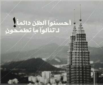 proooo296 tweet picture