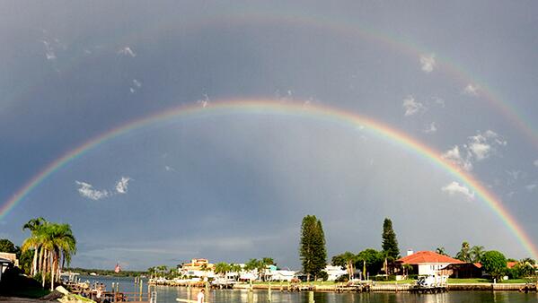 View image on Twitter