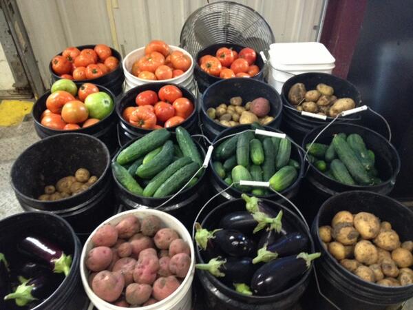 FeedingAmerica's tweet image. Fantastic #hungersolution! MT @Channel1FoodMN: Thanks to all of our farmers who donate their surplus veggies.