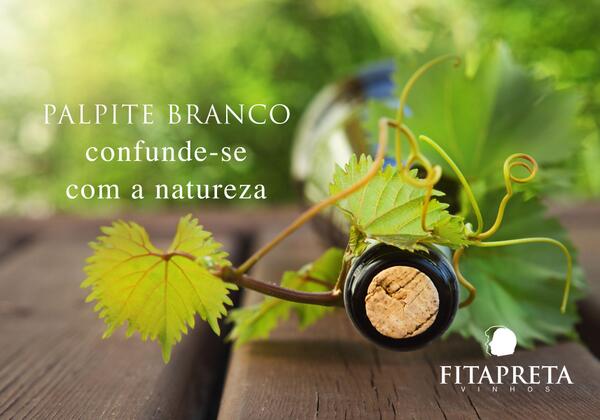 PALPITE BRANCO.
Confunde-se com a natureza.
fitapreta.com