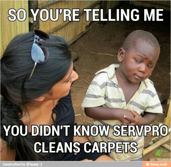 Just in case you didn't know, yes we clean carpets.