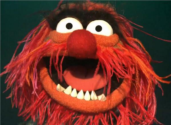 Mention "Animal Muppet" tonight BEFORE our Trivia Game starts to get happy hour prices on your first draft beer!